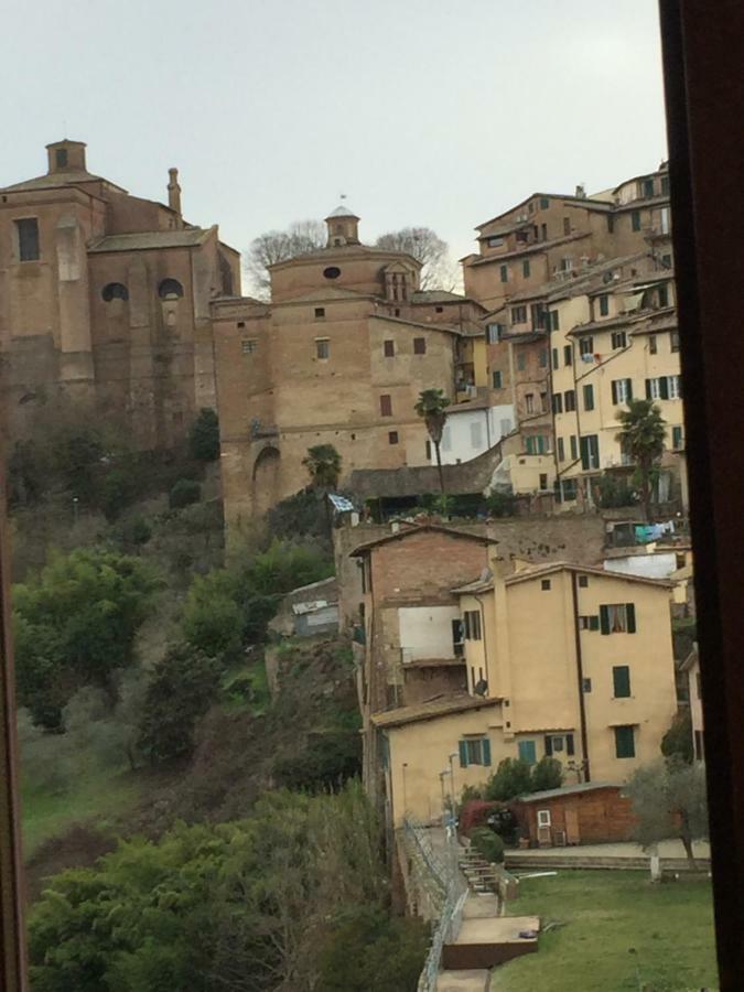 Salicotto 56